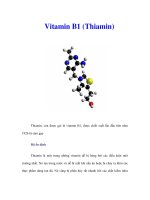 Tài liệu Vitamin B1 (Thiamin) doc