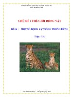 Tài liệu CHỦ ĐỀ : THẾ GIỚI ĐỘNG VẬT Đề tài - MỘT SỐ ĐỘNG VẬT SỐNG TRONG RỪNG - Lớp : LÁ doc