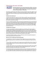 Tài liệu Kiểm toán nội bộ: “Bảo vệ giá trị” doanh nghiệp ppt