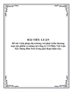 Tài liệu Tiểu luận 