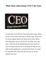 Tài liệu Phác thảo chân dung CEO Việt Nam docx
