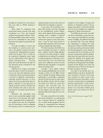 Tài liệu Ten Principles of Economics - Part 34 docx