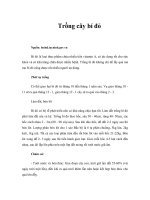 Tài liệu Trồng cây bí đỏ doc