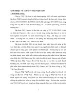 Nhu cầu nhà ở đối với  người việt nam ở nước ngoài 