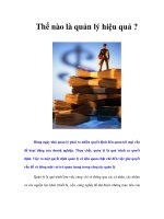 Tài liệu Thế nào là quản lý hiệu quả ? ppt