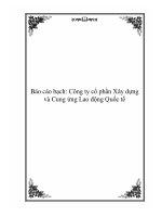 Tài liệu Báo cáo bạch: Công ty cổ phần Xây dựng và Cung ứng Lao động Quốc tế pdf