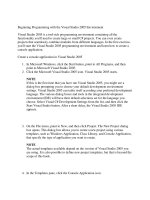 Tài liệu Beginning Programming with the Visual Studio 2005 Environment pdf