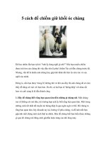 Tài liệu 5 cách để chiếm giữ khối óc chàng ppt