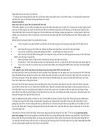 Phát triển bộ não trẻ nhỏ như thế nào 