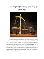 Tài liệu Các công ty luật và ba suy ngẫm pháp lý (Phần một) doc