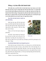 Tài liệu Đông y trị đau đầu khi hành kinh doc