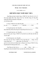 Tài liệu Hợp đồng học việc docx