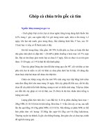 Tài liệu Ghép cà chùa trên gốc cà tím pptx