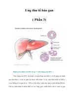 Tài liệu Ung thư tế bào gan ( Phần 3) ppt