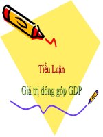 Tài liệu Gía trị đóng góp GDP pptx