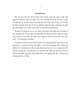Báo cáo xây dựng mô hình vật lý chứng minh ánh sáng có tính chất sóng với sự trợ giúp của máy vi tính 