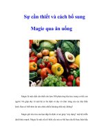 Tài liệu Sự cần thiết và cách bổ sung Magie qua ăn uống pdf