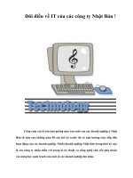 Tài liệu Đôi điều về IT của các công ty Nhật Bản ! docx