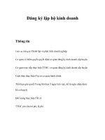 Tài liệu Đăng ký lập hộ kinh doanh doc