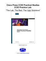Tài liệu Cisco Press CCIE Practical Studies CCIE Practice Lab: “The lab, the bad, the ugly Solutions” ppt