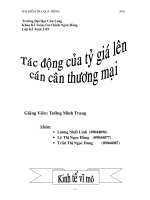 Tài liệu đề tài kinh tế vĩ mô doc