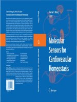 Tài liệu Molecular Sensors for Cardiovascular Homeostasis P1 ppt