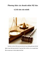Tài liệu Phương thức các doanh nhân Mỹ bảo vệ tài sản của mình docx
