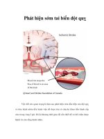 Tài liệu Phát hiện sớm tai biến đột quỵ ppt