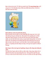 Những tố chất chói sáng ở 12 chòm sao