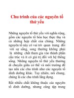Tài liệu Chu trình của các nguyên tố thứ yếu ppt