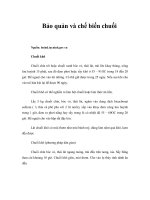 Tài liệu Bảo quản và chế biến chuối doc