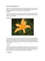 Tài liệu 5 Loại rau cho giai đoạn ở cữ doc