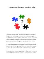 Tài liệu Tại sao tài trợ bằng nợ rẻ hơn vốn cổ phần? ppt