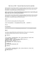 Tài liệu SQL Server 2005 – Hack dữ liệu đã mã hoá bởi mật khẩu ppt