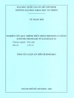 Luận án tiến sỹ nghiên cứu quá trình thủy phân protein cá bằng enzym protease từ b.subtilis s5