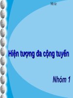 Tài liệu Thảo luận kinh tế lượng docx