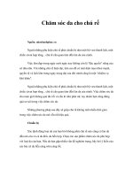 Tài liệu Chăm sóc da cho chú rể doc