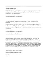 Tài liệu Using the PrintJob Class pptx