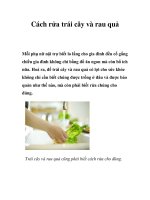 Tài liệu Cách rửa trái cây và rau quả docx