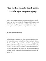 Tài liệu Quy chế Bảo lãnh cho doanh nghiệp vay vốn ngân hàng thương mại doc