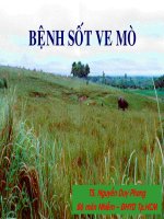 Tài liệu Bài giảng Bệnh sốt ve mò docx