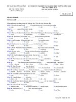 Tài liệu Đề thi chính thức kỳ thi tốt nghiệp THPT 2010 môn tiếng Đức (Mã đề thi 164) pdf
