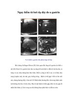 Tài liệu Nguy hiểm từ loét dạ dày do u gastrin docx
