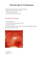 Tài liệu Giáo trình Viêm âm đạo do Trichomonas doc