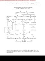 Tài liệu Phương trình cơ bản liên quan giữa rượu - andehit - axit - este pptx