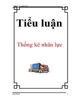 Tài liệu Tiểu luận: Thống kê nhân lực ppt