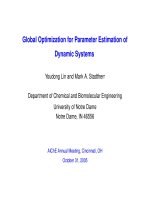 22  global optimization for parameter estimation of dynamic systems lin chinese 2005 