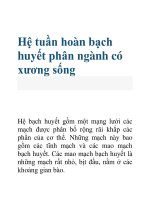 Tài liệu Hệ tuần hoàn bạch huyết phân ngành có xương sống pdf