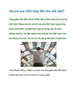 Tài liệu Vai trò của CEO thay đổi như thế nào? ppt
