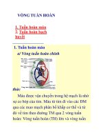 Tài liệu vòng tuần hoàn ppt